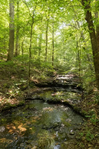 0 Shoals Branch Road Primm Springs TN 38476