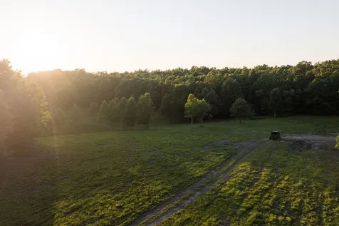 0 Shoals Branch Road Primm Springs TN 38476