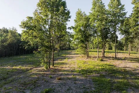 0 Shoals Branch Road Primm Springs TN 38476