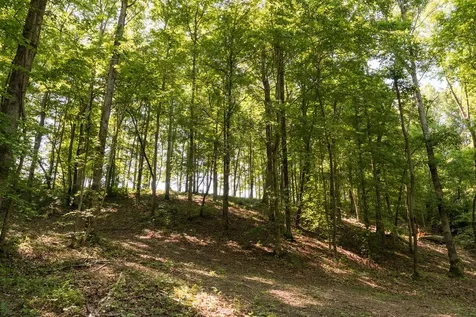 0 Shoals Branch Road Primm Springs TN 38476