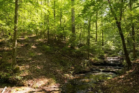 0 Shoals Branch Road Primm Springs TN 38476