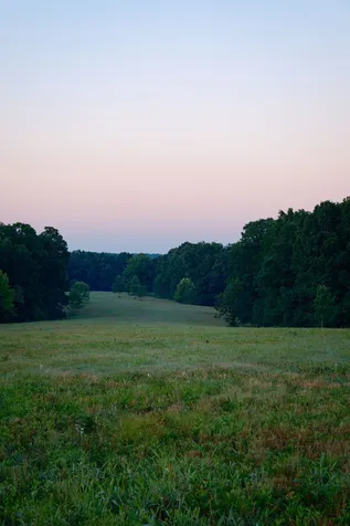 0 Shoals Branch Road Primm Springs TN 38476