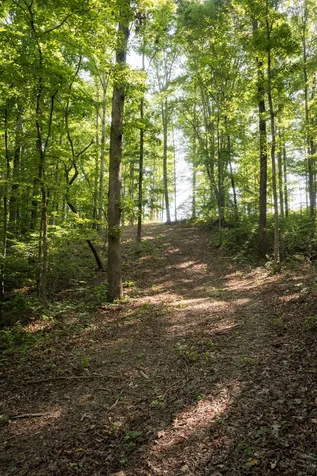 0 Shoals Branch Road Primm Springs TN 38476