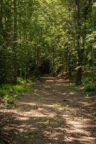 0 Shoals Branch Road Primm Springs TN 38476