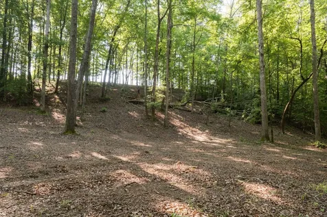 0 Shoals Branch Road Primm Springs TN 38476