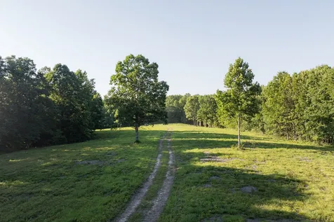 0 Shoals Branch Road Primm Springs TN 38476