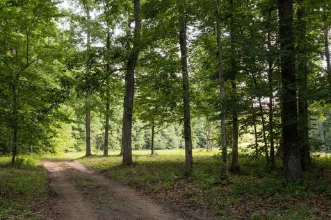 0 Shoals Branch Road Primm Springs TN 38476