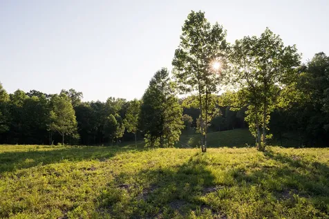0 Shoals Branch Road Primm Springs TN 38476