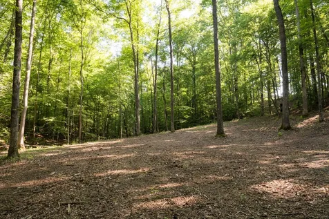 0 Shoals Branch Road Primm Springs TN 38476