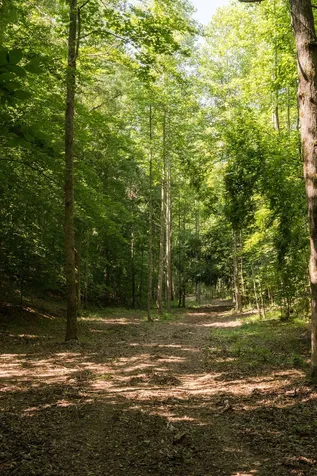 0 Shoals Branch Road Primm Springs TN 38476