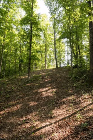 0 Shoals Branch Road Primm Springs TN 38476
