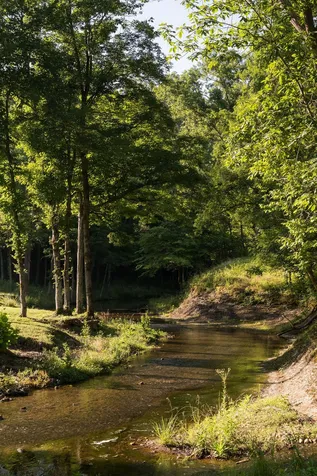 0 Shoals Branch Road Primm Springs TN 38476