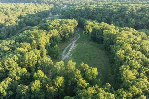 0 Shoals Branch Road Primm Springs TN 38476