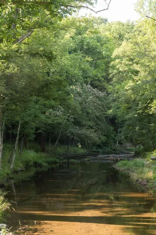 0 Shoals Branch Road Primm Springs TN 38476
