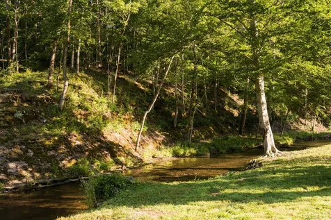 0 Shoals Branch Road Primm Springs TN 38476