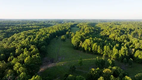 0 Shoals Branch Road Primm Springs TN 38476
