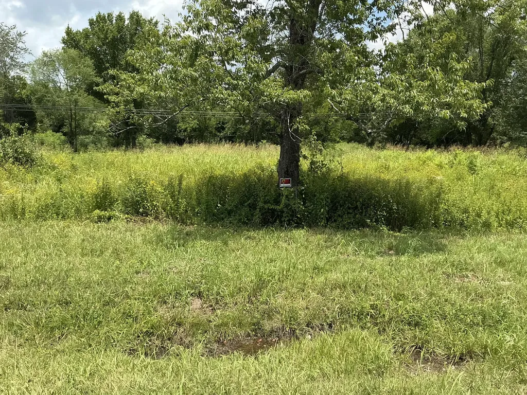 0 Bear Creek Pike Columbia TN 38401