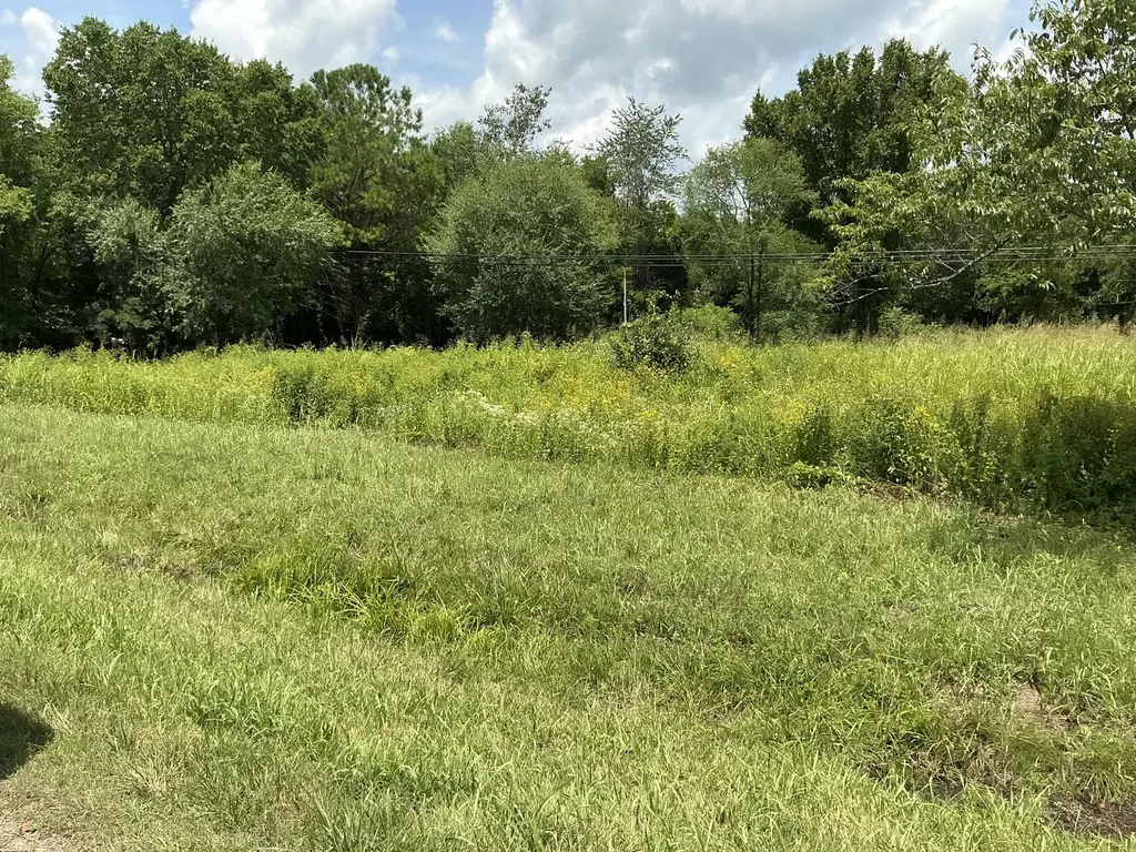 0 Bear Creek Pike Columbia TN 38401