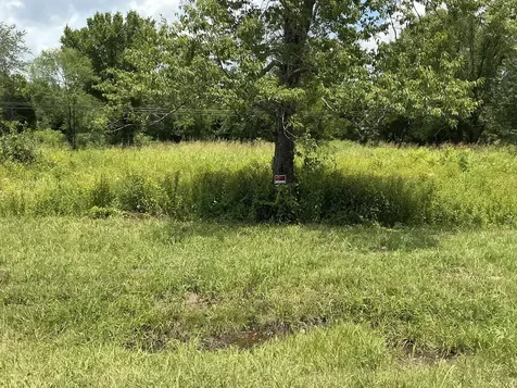 0 Bear Creek Pike Columbia TN 38401