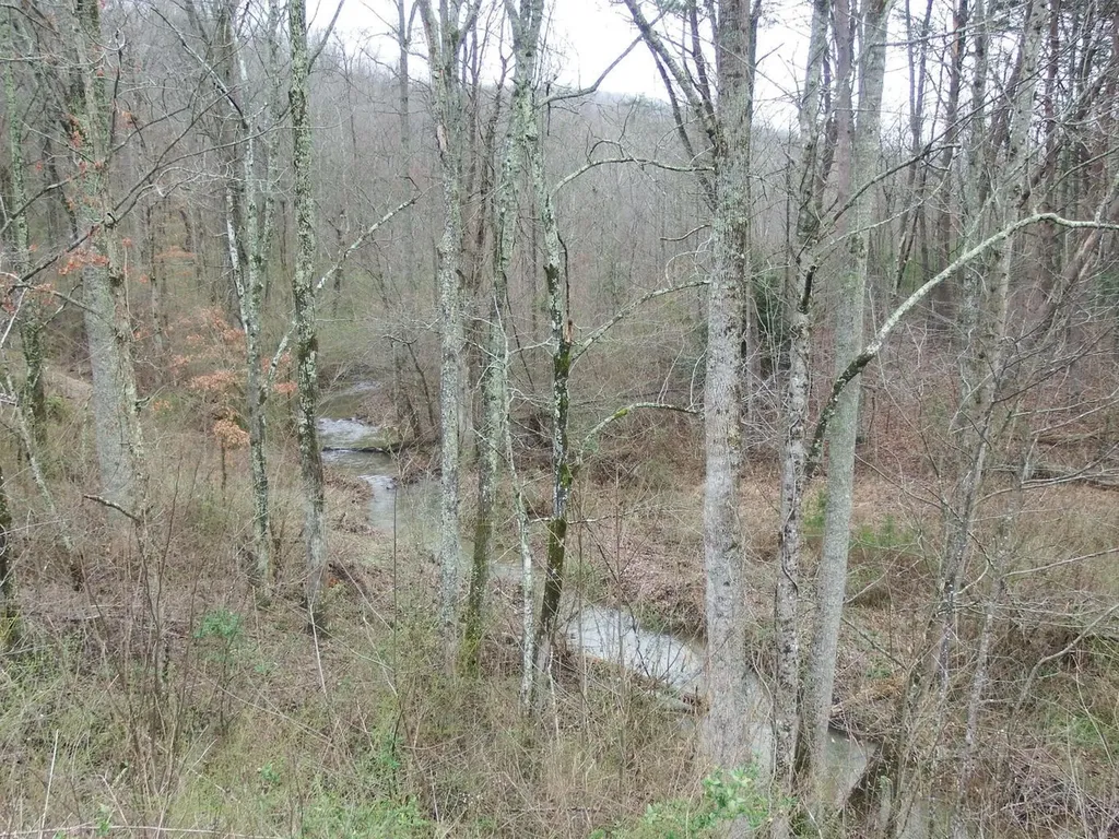 0 Main Street Palmer TN 37365