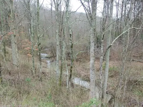 0 Main Street Palmer TN 37365