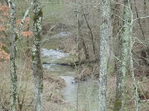 0 Main Street Palmer TN 37365