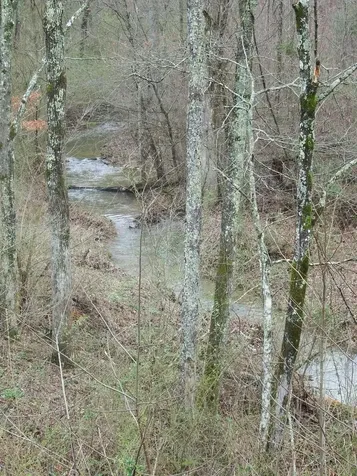 0 Main Street Palmer TN 37365