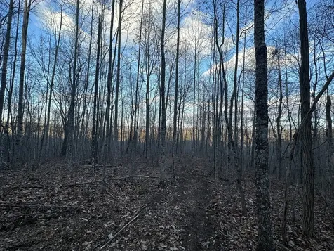 0 Main Street Palmer TN 37365