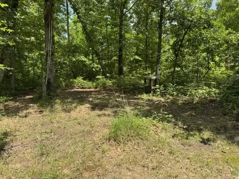 1757 Linden Highway Hohenwald TN 38462