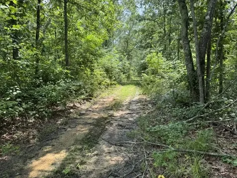 1757 Linden Highway Hohenwald TN 38462