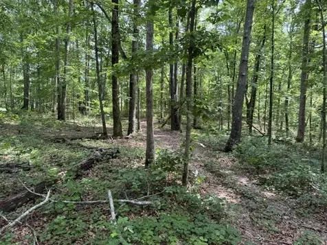 1757 Linden Highway Hohenwald TN 38462