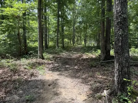 1757 Linden Highway Hohenwald TN 38462