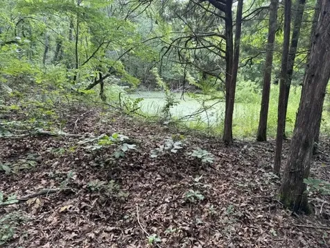 1757 Linden Highway Hohenwald TN 38462