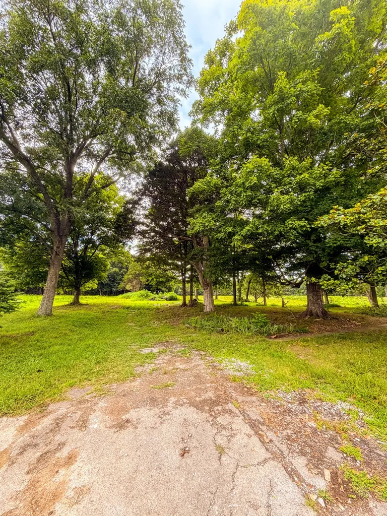 520 Ferrell Road Smithville TN 37166