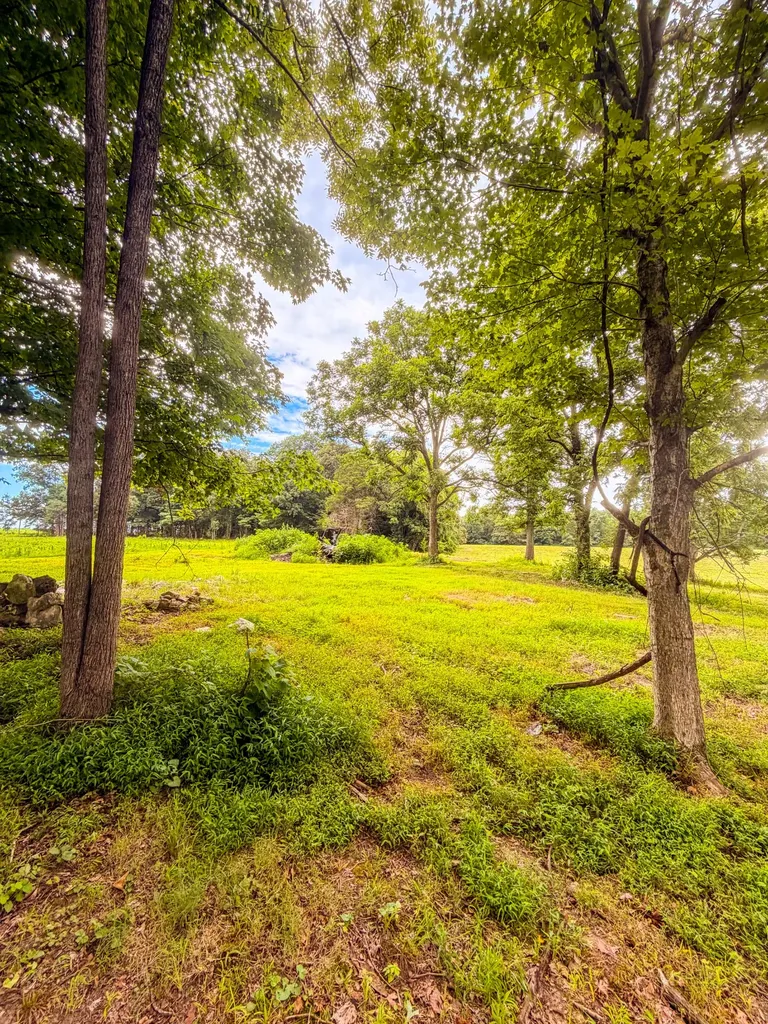 520 Ferrell Road Smithville TN 37166