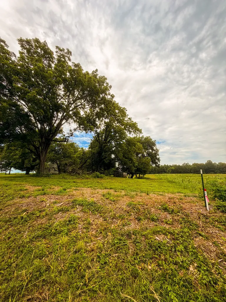 520 Ferrell Road Smithville TN 37166