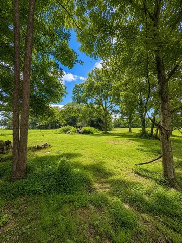 520 Ferrell Road Smithville TN 37166