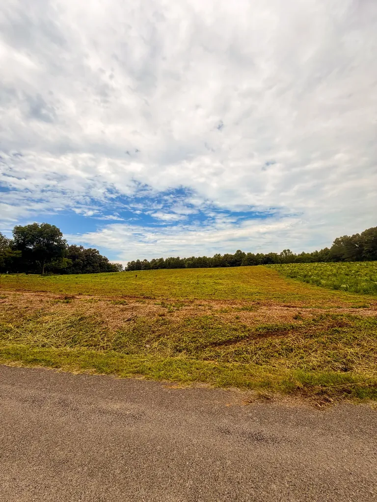 520 Ferrell Road Smithville TN 37166