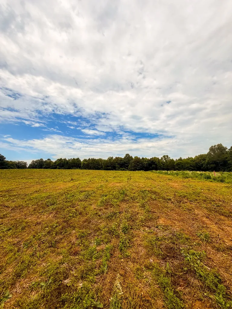 520 Ferrell Road Smithville TN 37166