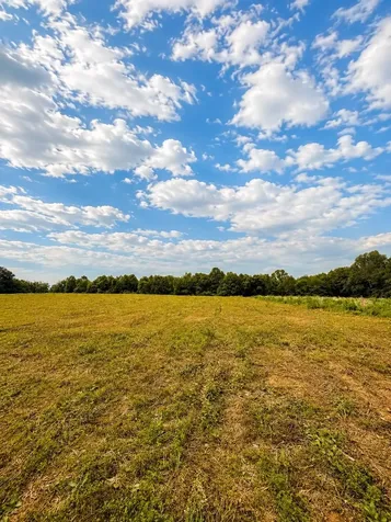 520 Ferrell Road Smithville TN 37166