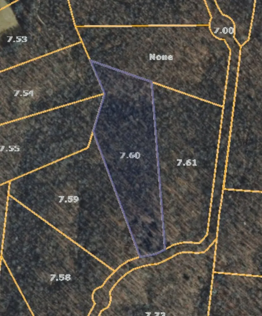 0 Longwood Court Mc Ewen TN 37101