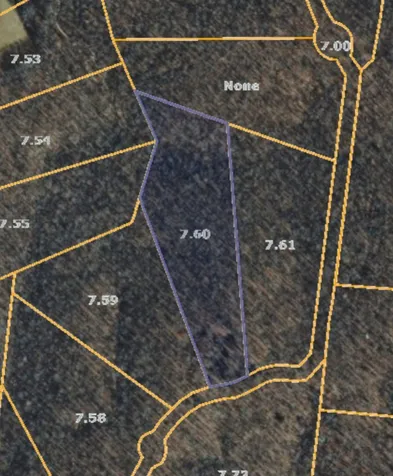 0 Longwood Court Mc Ewen TN 37101