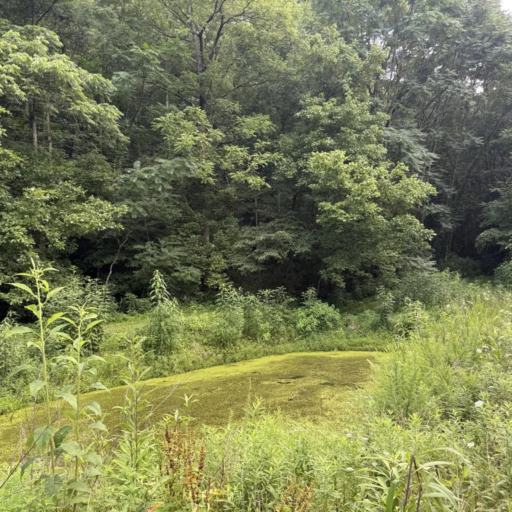 2625 Wartrace Highway Whitleyville TN 38588