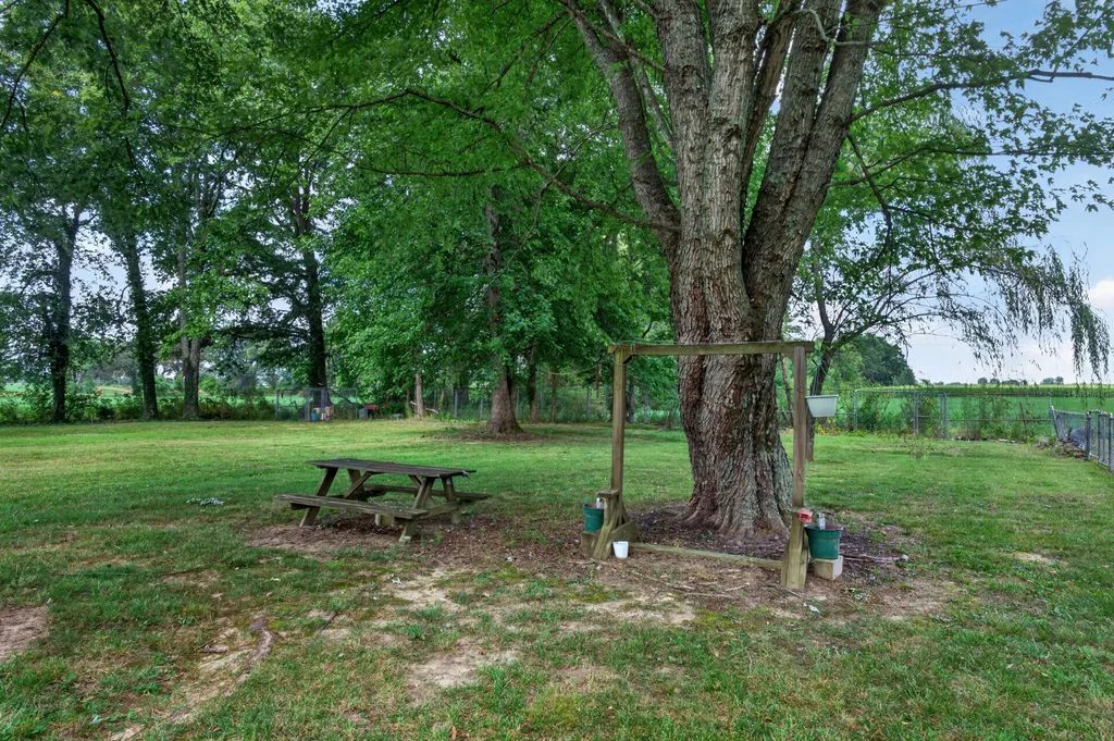 1201 Earl Avenue Smithville TN 37166