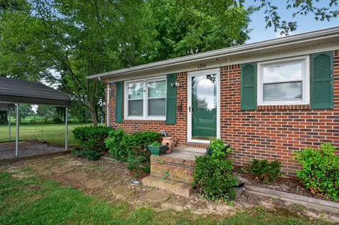 1201 Earl Avenue Smithville TN 37166