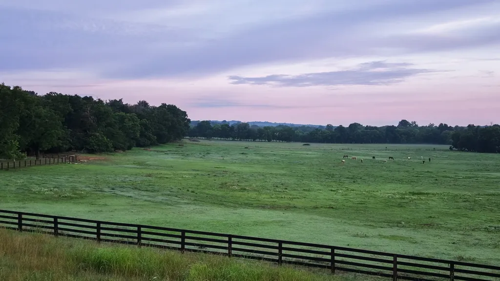 594 Northern Road Mount Juliet TN 37122