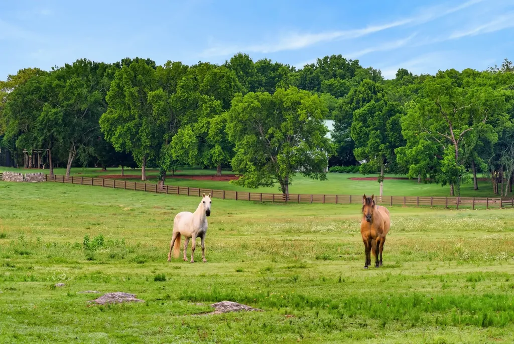 594 Northern Road Mount Juliet TN 37122