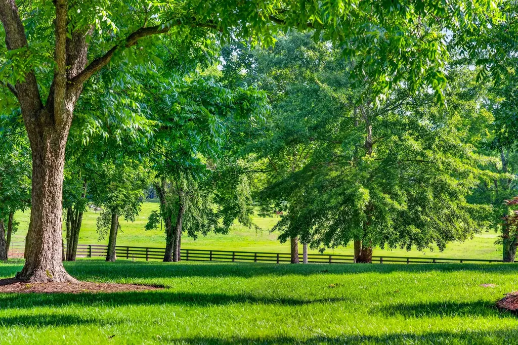 594 Northern Road Mount Juliet TN 37122