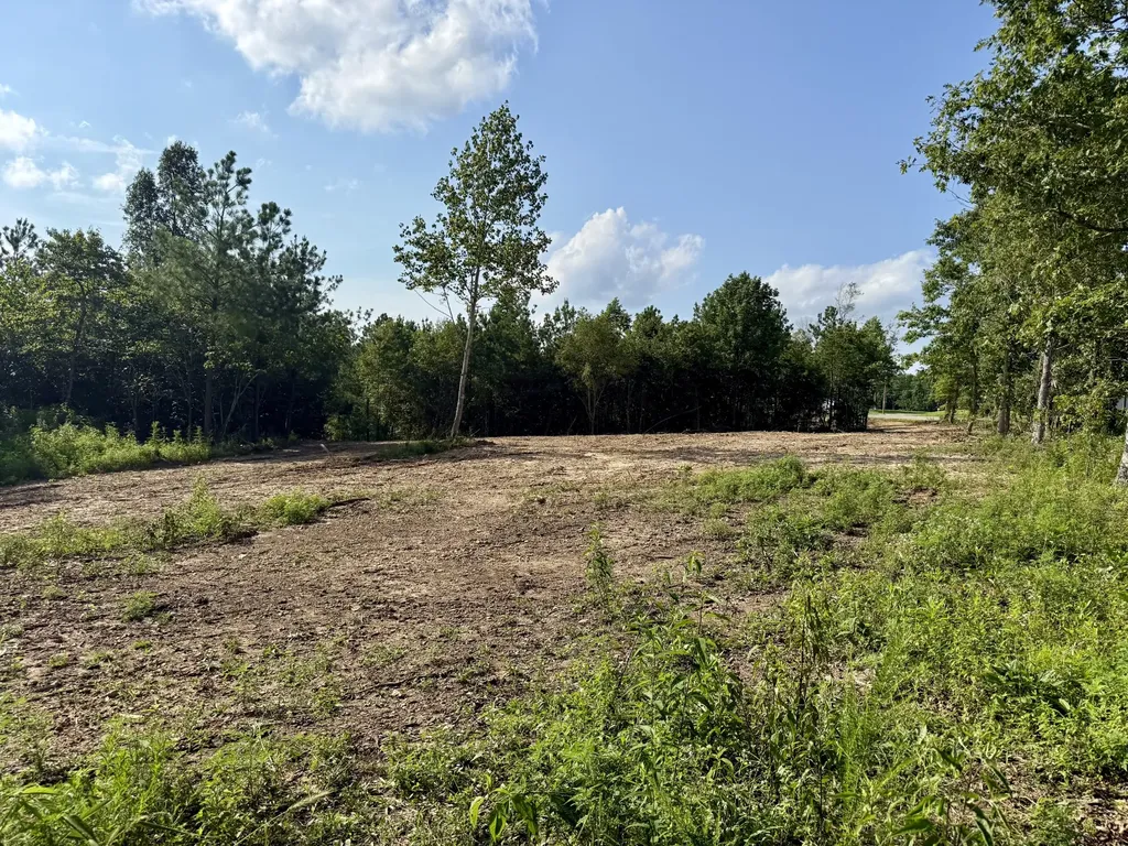 0 Highway 231 Erin TN 37061