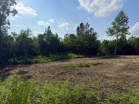 0 Highway 231 Erin TN 37061